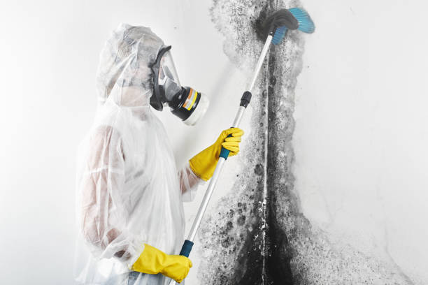 Best Emergency Mold Remediation  in Cordele, GA