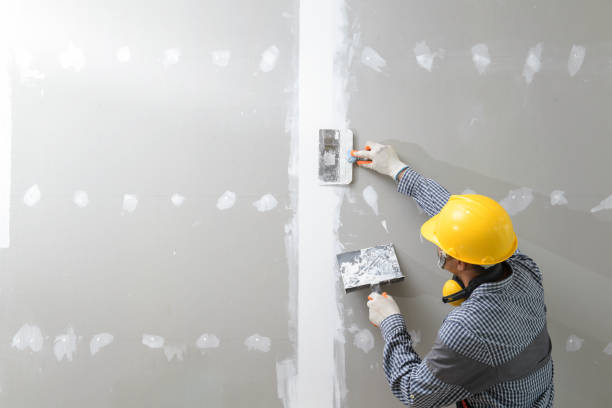Best Crawl Space Mold Remediation  in Cordele, GA